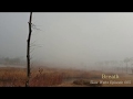 Slow Waltz episode 005 Breath