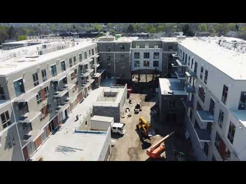 Allee on the Charles April 2023