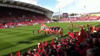 Nyle Wolfe Munster Rugby anthem Stand up and Fight