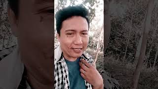 Download lagu #shorts utiwi kalao Lao Bugis viral mp3