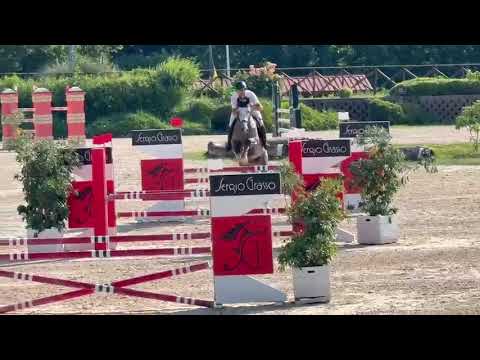 Radetsky H2F (HARLEY VDL x DOUGLAS) - Video 2 video thumbnail