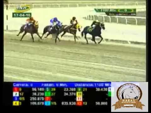 LA RINCONADA 9 CARRERA, DOMINGO 17 DE ABRIL DEL 2016