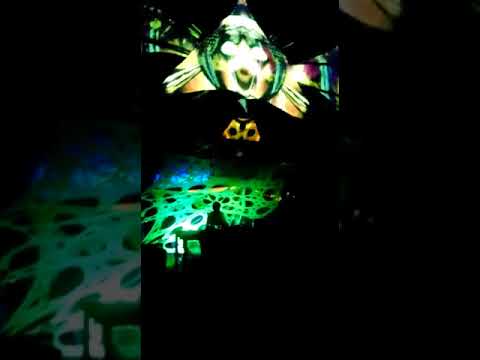 Zamurah Live * La Crema Family I (BR)