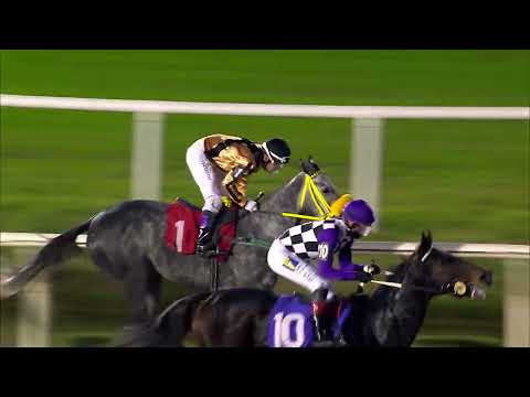 220529 c10 CAFE BICHO