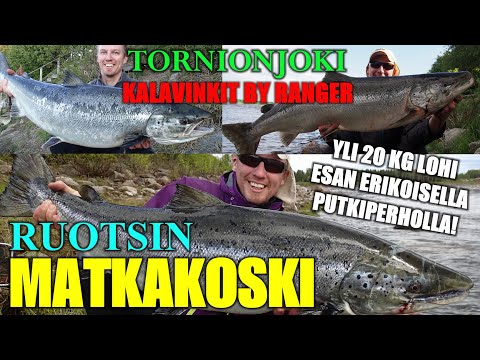 TORNIONJOKI RANTAKALASTUS - RUOTSIN MATKAKOSKI HEITTOVINKIT (Lohenkalastus / Salmon Fishing Sweden)