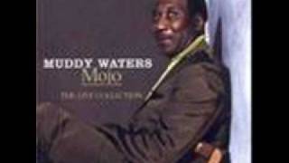 Muddy Waters - Rock Me