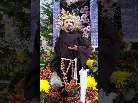 Capilla San Francisco de Asís, El Cuadrante Coyoacán (Imagen del santo patrono) ✝️⬛🟨