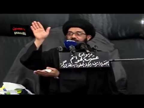 ⁣احد المفسدين في مؤسسات الدولة - السيد محمد الصافي