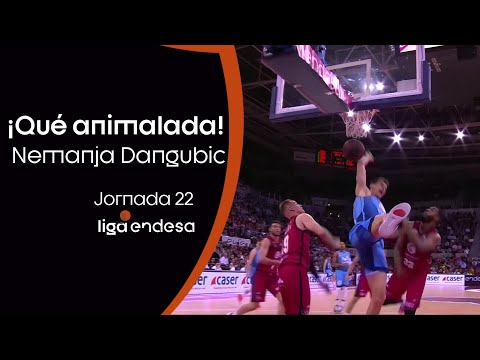 ¡Qué animalada de Dangubic!