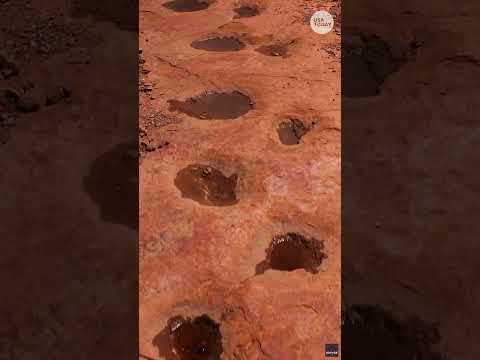 Dinosaur footprints become puddles after Colorado rainstorm. See the drone video.
