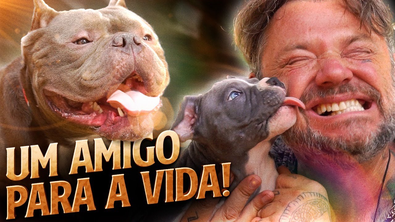 MICRO BULLY, O MELHOR CÃO PARA COMPANHIA! | RICHARD RASMUSSEN