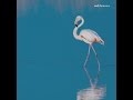 Sugar Cane Davis Flamenco Full Album