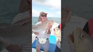 Hôtel Kasa Afrikana