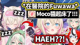 連在醫院休養的Fuwawa都能當指示廚?! 直接留言叫Mococo起床w 被嚇到的妹妹：Hae??!【FuwaMoco Bae Ceci】【Hololive 中文精華】