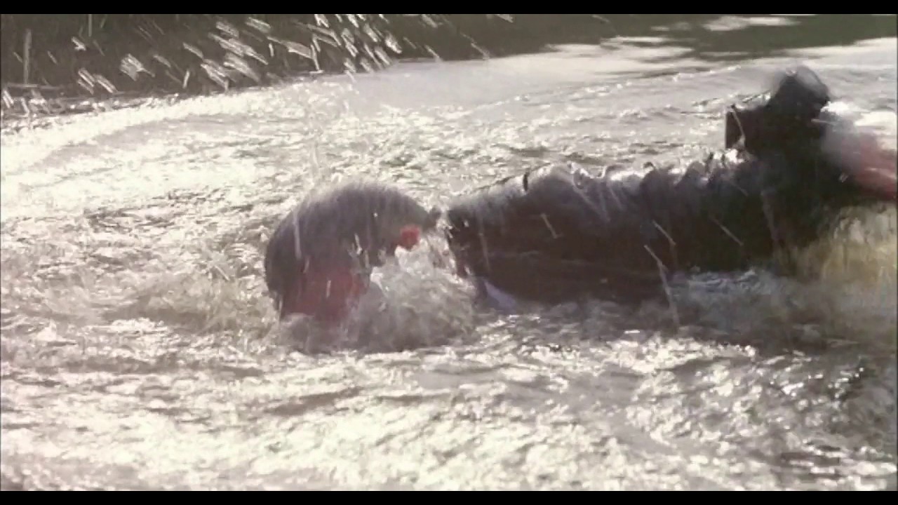 My Nights Are More Beautiful Than Your Days 1989