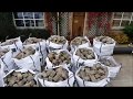 Wilsons Yard Reclaimed Cobble Stones