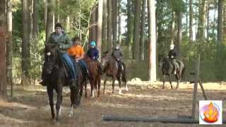 Мир навыка. Подкова