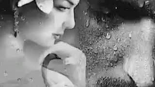 HİÇ UTANMADAN / GRİPİN