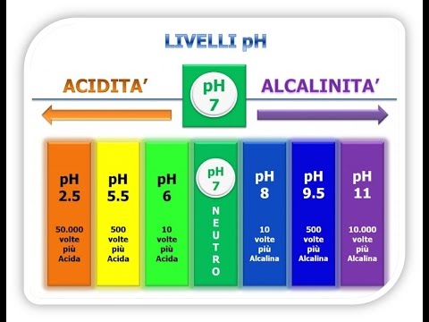 Il pigmentary nota su labbra dal sole Il caffè srub con un limone per candeggiare di pelle