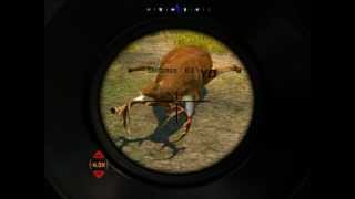 Cabela's Hunting Expeditions Gameplay [Louisiana_01]
