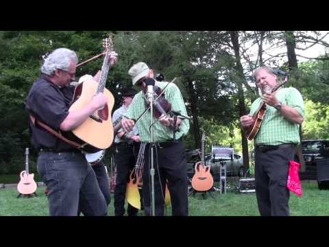 The Mountain Folk Band - "Dead Skunk in the Middle of the Road"