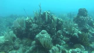 preview picture of video 'Buceando cerca de playa Ancón, Cuba. - Diving near Ancon beach, Cuba'