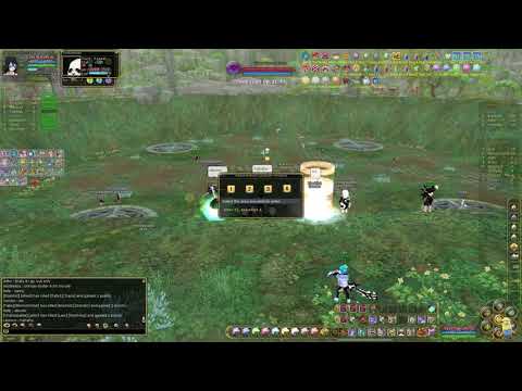 Insanity Flyff Siege- Skill Crackshooter