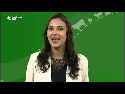 Agro Forte Brasil Forte