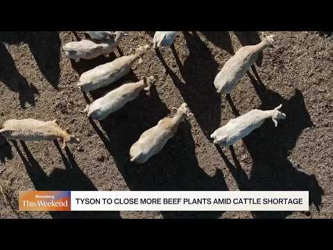牛肉価格、米国の牛供給減で高止まり (Beef Prices Stay High as US Cattle Supply Shrinks)