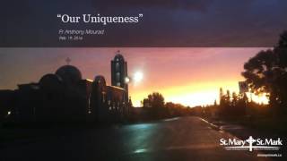 1- Our Uniqueness - Youth Retreat - Fr Anthony Mourad