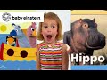 Baby Noah Baby Einstein Classics Learning Show For Toddlers Kids Cartoons Fun With Animals
