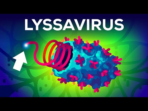 Le virus le plus mortel sur Terre