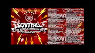 Sentinel - Dancehall Mixes Vol. 20 - Diamonds Conscious Selection Mix CD 2010 Preview