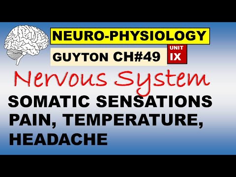 Ch#49 Physiology Guyton | Neurophysiology | Somatic Sensations | Pain, Temperature, Headache