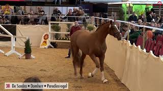 Video von De Dembélé