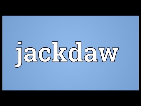 Jackdaw Meaning