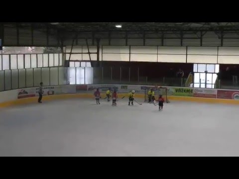 Hlinsko minihokej ročník 2008