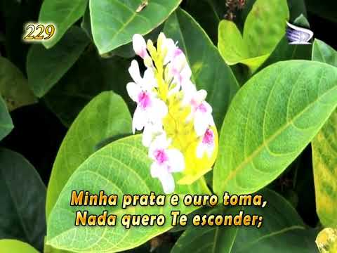 Hinário Louvores ao Rei n°229 Consagração Completa