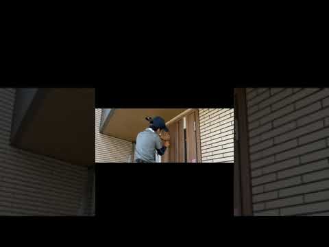 double porte entrée originale bois peint vert frais