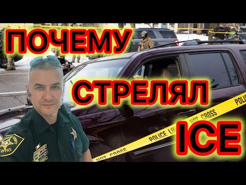 Новые видео и информация об агенте ICE и погибшей женщине-активистке в Миннесоте 