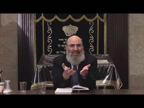 Tanya, The Holy Epistle: Epistle 22 - Part 2, Rabbi Krasnianski.