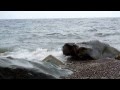 Крым, Алушта, пляж Черные камни (Видео Турист) 