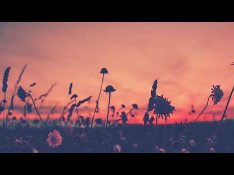 Blossomwings - Sparky Deathcap