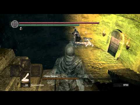 Havel vs Capra Demon