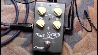 Video thumbnail for First Look - Source Audio True Spring Reverb by Premier Guitar
