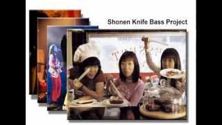 Shonen Knife Bass Project - Catnip Dream - Lesson