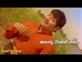 Dr Raj Song
