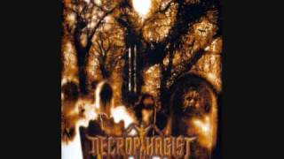 Necrophagist - Seven