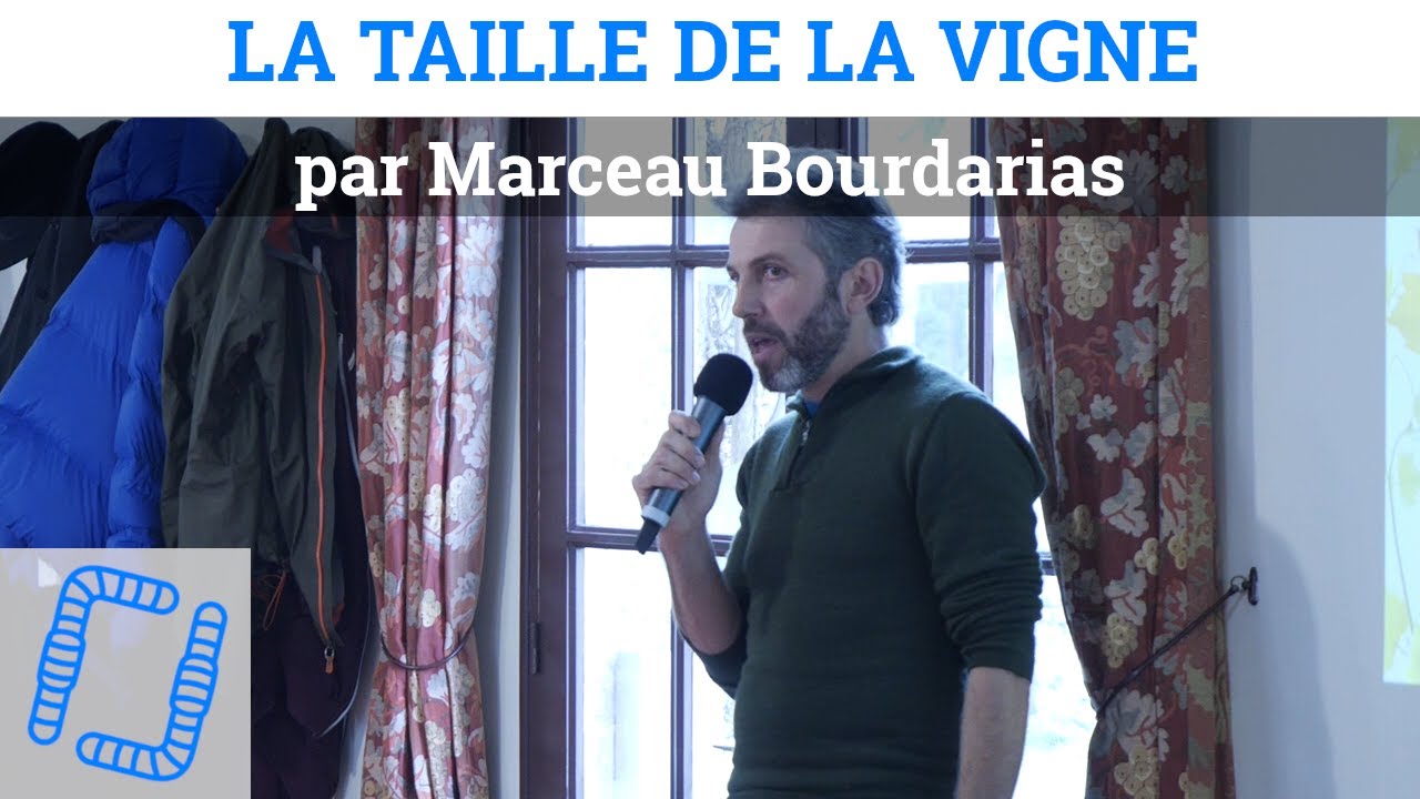 La taille de la vigne, par Marceau Bourdarias