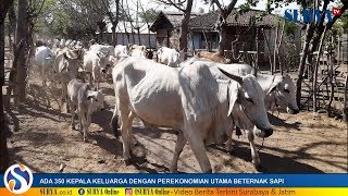 HAMPIR SEMUA PENDUDUK KAMPUNG INI KAYA RAYA TAPI BANYAK ANAK PUTUS SEKOLAH
